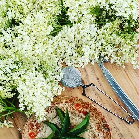 Casa Do Fundo - Sustainable & Ecotourism