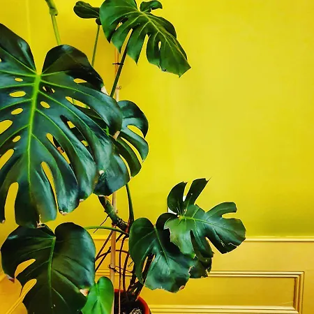 Landsted Casa Do Fundo - Sustainable & Ecotourism