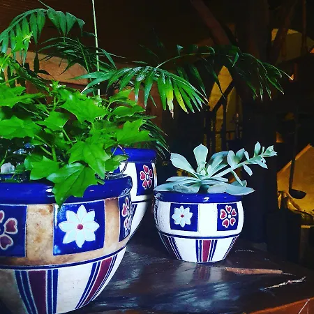 Casa de Campo Casa Do Fundo - Sustainable & Ecotourism Seia