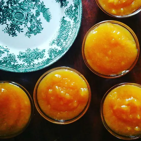 Casa de Campo Casa Do Fundo - Sustainable & Ecotourism