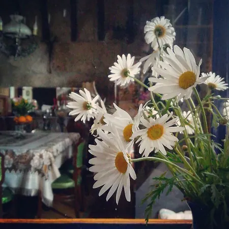 Casa Do Fundo - Sustainable & Ecotourism *