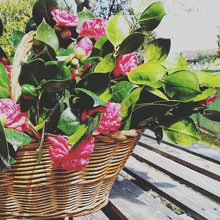 Casa Do Fundo - Sustainable & Ecotourism