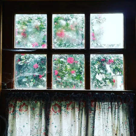 Casa Do Fundo - Sustainable & Ecotourism * Seia