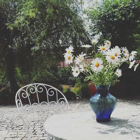 カントリーハウス Casa Do Fundo - Sustainable & Ecotourism *