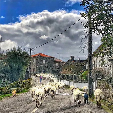 Landsted Casa Do Fundo - Sustainable & Ecotourism *