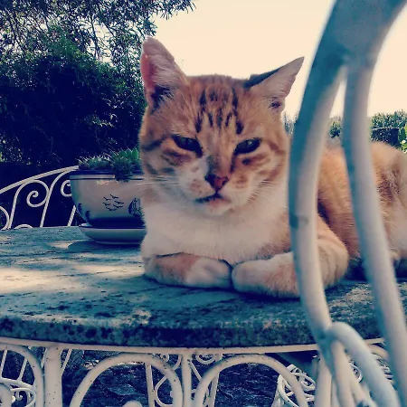 Casa Do Fundo - Sustainable & Ecotourism Seia