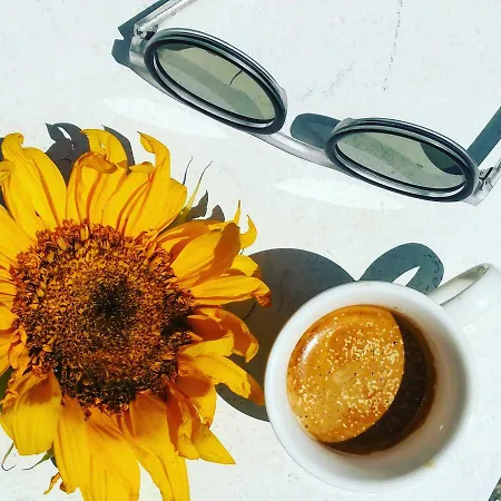 カントリーハウス Casa Do Fundo - Sustainable & Ecotourism セイア