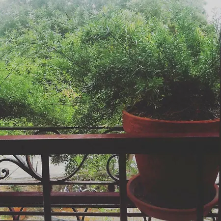 Casa Do Fundo - Sustainable & Ecotourism セイア