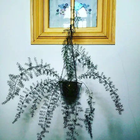 Casa Do Fundo - Sustainable & Ecotourism *