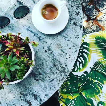 Casa Do Fundo - Sustainable & Ecotourism Casa de Campo Seia