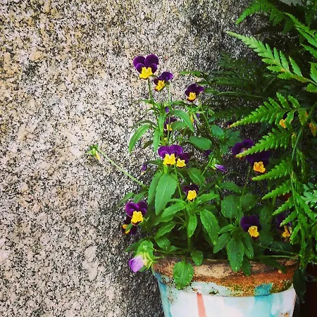 Landsted Casa Do Fundo - Sustainable & Ecotourism *