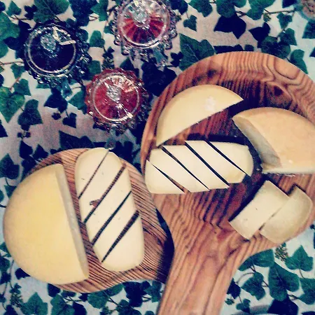 Casa Do Fundo - Sustainable & Ecotourism Casa de Campo Seia