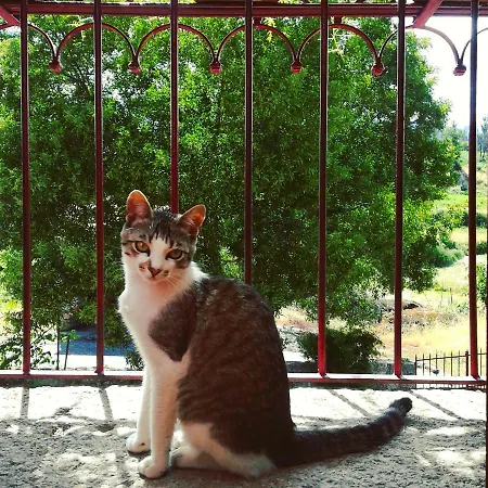 Casa Do Fundo - Sustainable & Ecotourism * Seia