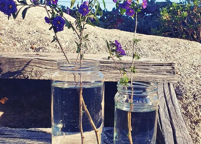 Casa Do Fundo - Sustainable & Ecotourism Séjour à la campagne *