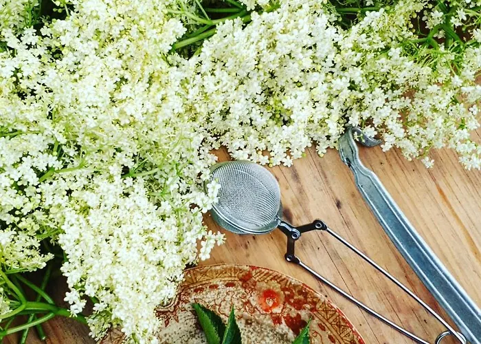 Casa Do Fundo - Sustainable & Ecotourism