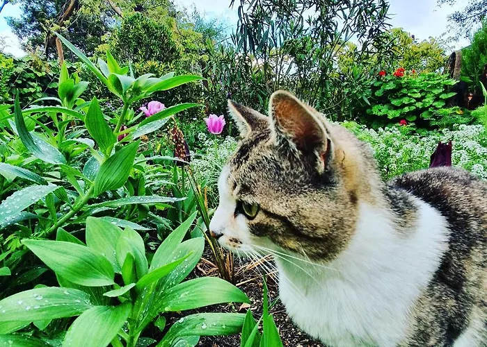 Casa Do Fundo - Sustainable & Ecotourism Εξοχικό σπίτι