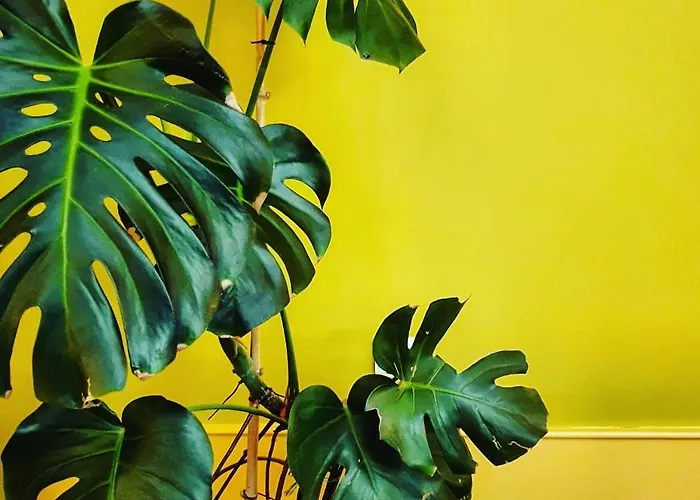 Séjour à la campagne Casa Do Fundo - Sustainable & Ecotourism