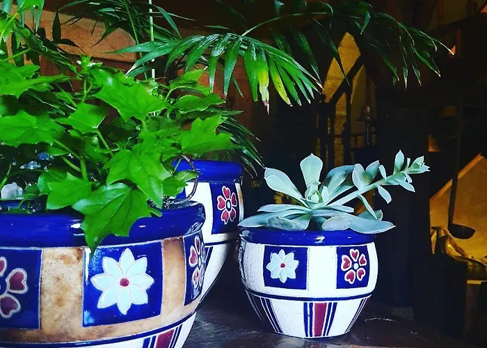 Séjour à la campagne Casa Do Fundo - Sustainable & Ecotourism Seia