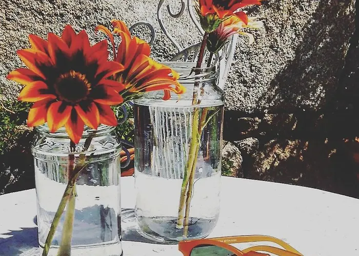 Séjour à la campagne Casa Do Fundo - Sustainable & Ecotourism