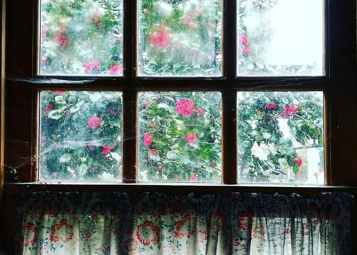 Casa Do Fundo - Sustainable & Ecotourism * Seia