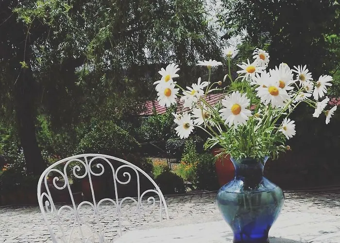 Εξοχικό σπίτι Casa Do Fundo - Sustainable & Ecotourism *