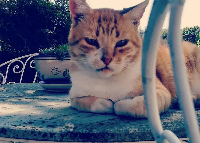 Casa Do Fundo - Sustainable & Ecotourism Seia