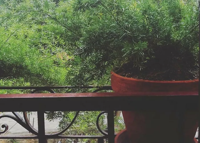 Casa Do Fundo - Sustainable & Ecotourism Seia