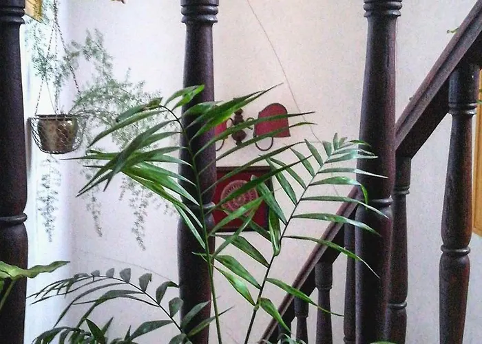 Casa Do Fundo - Sustainable & Ecotourism Seia