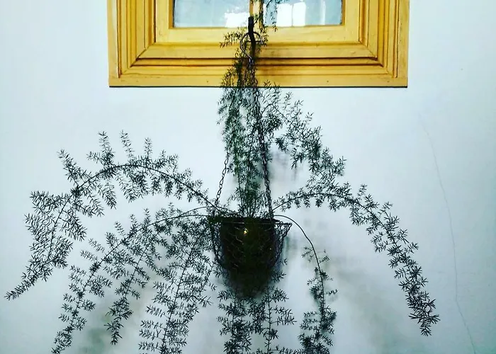 Casa Do Fundo - Sustainable & Ecotourism *